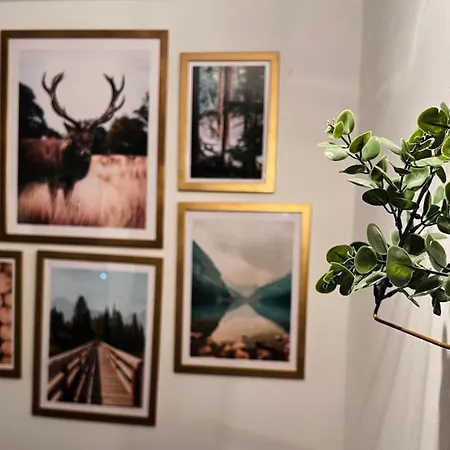 Podhale Apartamento